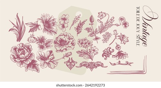 Toile de Jouy.Set of graceful linear elements (botanical,fantasy)stylized under the era of rococo and neoclassicism.Vector illustrations on a color background with text.
