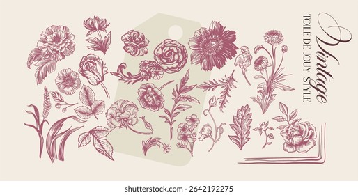 Toile de Jouy.Set of graceful linear elements (botanical,fantasy)stylized under the era of rococo and neoclassicism.Vector illustrations on a color background with text.