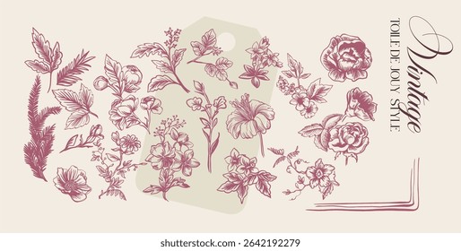 Toile de Jouy.Set of graceful linear elements (botanical,fantasy)stylized under the era of rococo and neoclassicism.Vector illustrations on a color background with text.