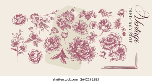 Toile de Jouy.Set of graceful linear elements (botanical,fantasy)stylized under the era of rococo and neoclassicism.Vector illustrations on a color background with text.
