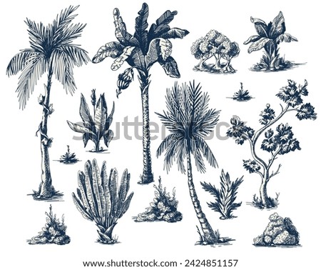 Toile graphic trees isolated. Vector.