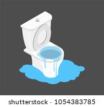 Toilet clogged Isometry. Leakage canalization. Litter in WC