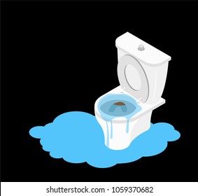 Toilet clogged Isometry. Leakage canalization. Litter in WC