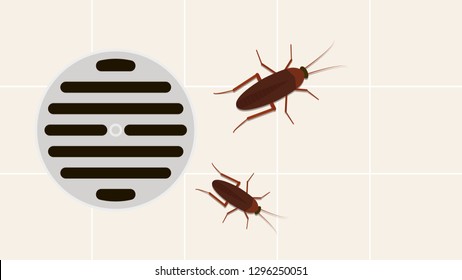 Toilet drain vector. cockroach vector. free space for text. copy space.