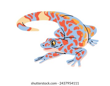 Tokay gecko with colourful patterned skin. Little exotic lizard, reptilian. Cute small reptile of jungle. Rainforest fauna. Tropical terrarium animal. Flat isolated vector illustration on white