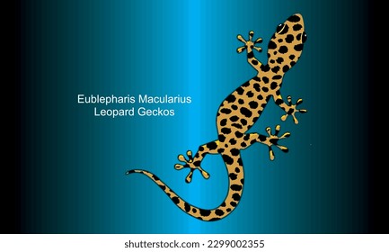 Tokay Gecko on abstract Background - Illustration