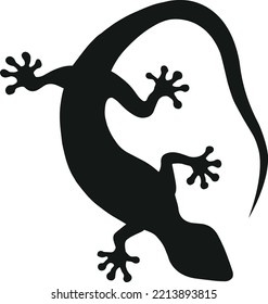 Tokay gekko silhouette on white background. Black hand drawn vector art of a gekko. Illustration of a lizard