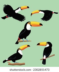 Toko Toucan Illustrationen in verschiedenen Bewegungen