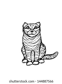 tom cat