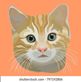 Tom cat, a stylized study of a tabby cat’s head, on a peach color background