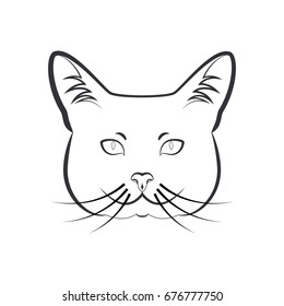 Tom cat. Vector illustration of a cat face.