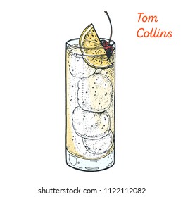 Tom Collins cocktail illustration. Alcoholic cocktails hand drawn vector illustration. 