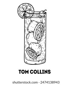 Tom Collins cocktail illustration. Hand drawn sketch. Vector illustration. Isolated object. Not AI