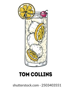 Tom Collins cocktail illustration. Hand drawn sketch. Vector illustration. Isolated object.