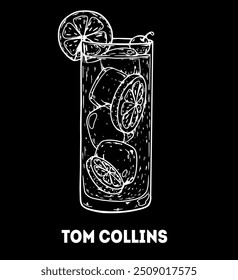 Tom Collins cocktail illustration. Hand drawn sketch. Vector illustration. Isolated object.