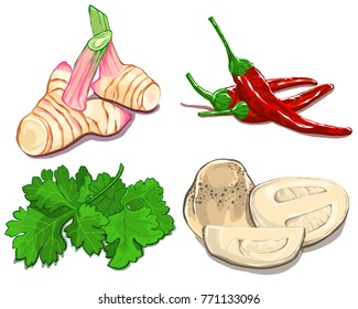 Tom Yum set - Spices for making Thai Tom Yum 2