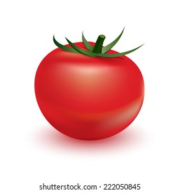 Tomato