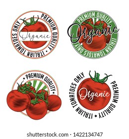 Tomato badge stamp label design set. Vector illustration of tomatoes in engraving technique. Isolated on white background.