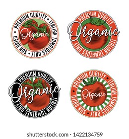 Tomato badge stamp label design set. Vector illustration of tomatoes in engraving technique. Isolated on white background.