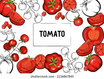 Tomato banner background in hand drawn vintage style, vector illustration. Banner layout with tomatoes.