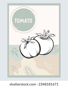 Tomato banner background with trendy hand drawn elements for food packaging design. Tomato vegetables and sauce label or sticker template hand drawn vector illustration.