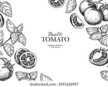 Tomato with basil leaves label drawing. Whole and sliced tomatoes with basil branch frame sketch. Package design template, banner. Hand drawn food illustration. Vegetable and herb flavor ingredients. 