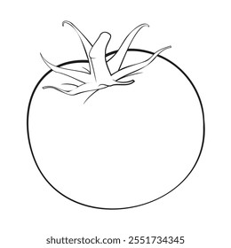 Tomate, blanco y negro, estilizado, Ilustración vectorial de tomates	