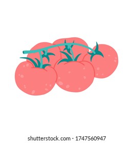 Tomato branch, fresh organic vegetables. Vector illustration in flat cartoon style on isolated white background. 
