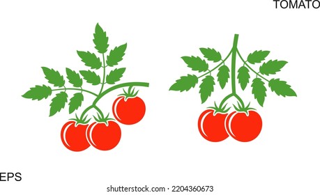 Logo de la rama del tomate. Rama de tomate aislada sobre fondo blanco