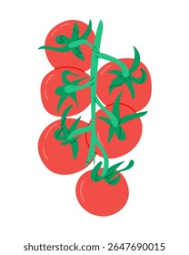 Tomato branch with ripe red tomatoes and green stems in flat style illustration. Represents freshness, organic food, and healthy summer vegetable concept