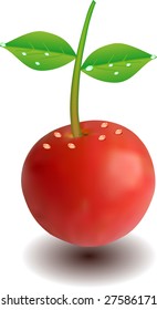 Tomato with branch. Vector illustration