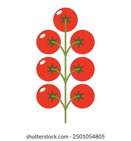 Tomato branch vector illustration. Minimalistic drawing - branch of red ripe tomatoes. Culinary illustration, poster, organic gardening concept.