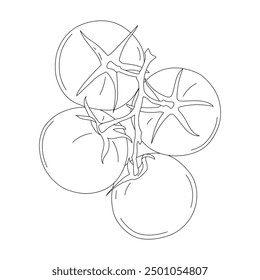 Tomatenzweig, Vektorgrafik. Minimalistische Zeichnung - Zweig von roten reifen Tomaten. Kulinarische Illustration, Plakat, Bio-Gartenkonzept.