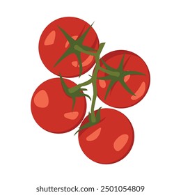 Tomato branch vector illustration. Minimalistic drawing - branch of red ripe tomatoes. Culinary illustration, poster, organic gardening concept.