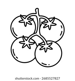 Contorno de dibujo de pandilla de tomate | Ilustración de vegetales en blanco y negro