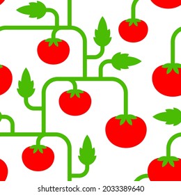 Tomato bush pattern seamless. Tomatos background. vector texture