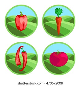 Tomato, carrot, pepper, paprika. Organic vegetables, round vector color badges or tags