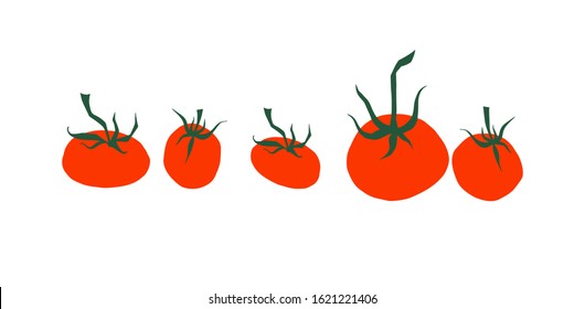 Tomato cartoon collection. Small and big fresh red ripe tomatoes with green leaves cherry tomato isolated on white background. Vegetable theme elements set. Flat vector illustration. Vegetarian food