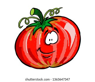 Tomato cartoon and vector