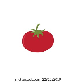 Vector de caricatura de tomate sobre fondo blanco
