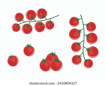 Tomato. Cherry tomatoes on branches top view and side view. Flat vector illustration, agriculture, vegetable growing concept