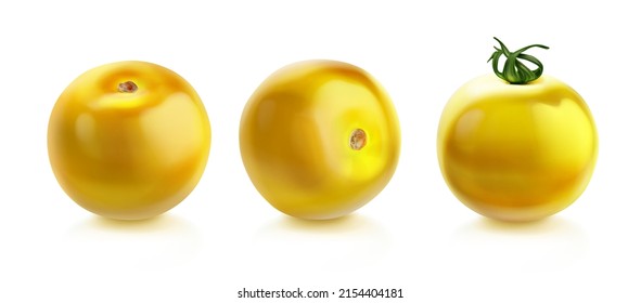 Cereza de tomate, tomates amarillos enteros con tallo verde, ilustración vectorial realista aislada en fondo blanco. Pomodoro maduro, verduras orgánicas en bruto
