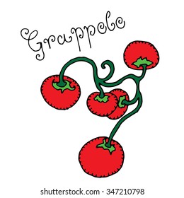 Tomato cluster with typography