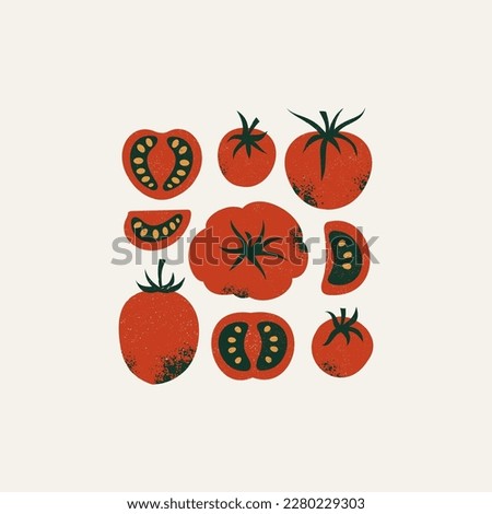 Tomato collection. Whole and half cut tomatoes. Textured retro style. Tomatoes vector illustration