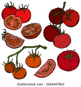 Tomato colored illustration, vector