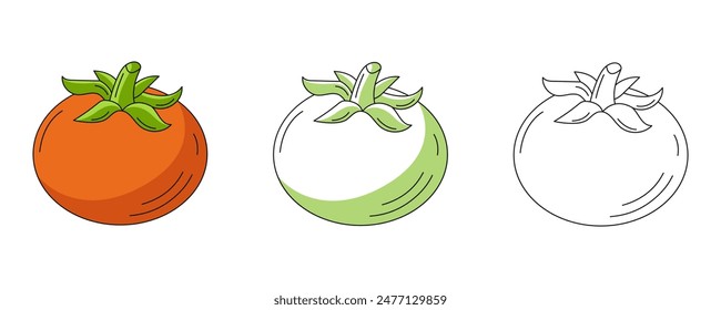 Tomato, colorful and line icons set. Farm vegetable vector outline icon, monochrome and color illustration. Healthy nutrition, organic food, vegetarian or vegan product. For logo, coloring book