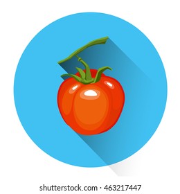 Tomato Colorful Vegetable Icon Flat Vector Illustration