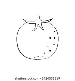 Tomato coloring book. Red ripe tomato. Children s coloring book with a picture of a tomato. A vegetable garden. Vector illustration