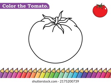 Tomato coloring page. isolated coloring book. color pages for kids. Tomato isolated.