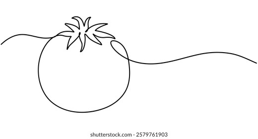 tomato continuous one line drawing, Abstract red shaped tomato. single line tomato icon, One continuous line drawing Tomato vegetable.
